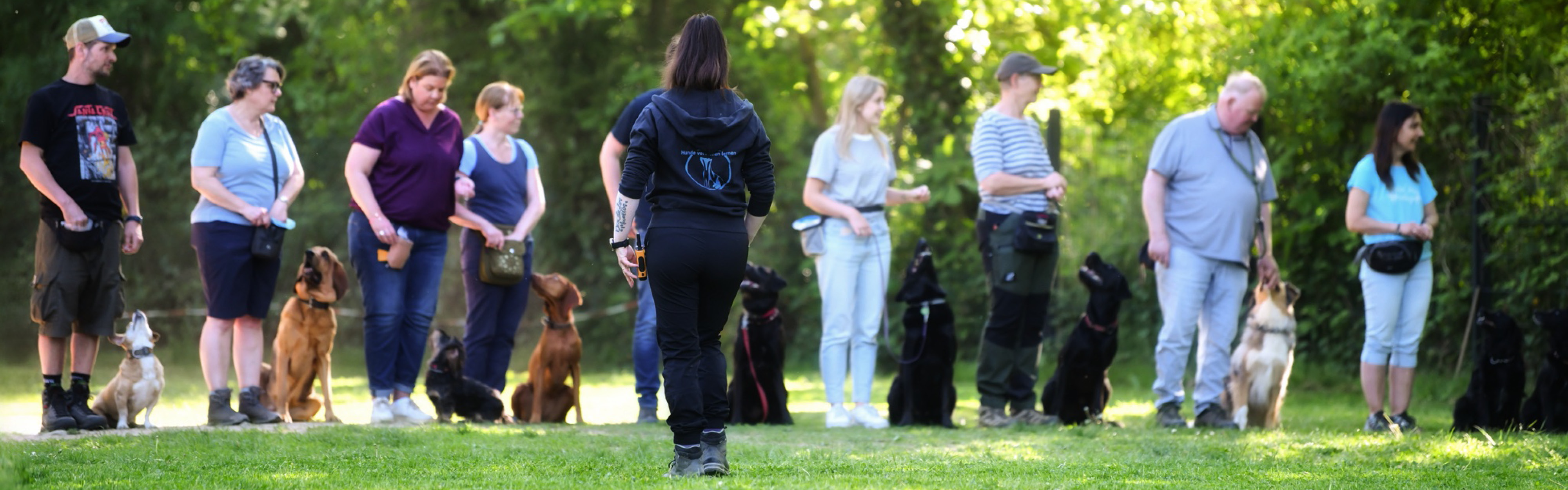 Hundeschule HVL – Hunde verstehen lernen