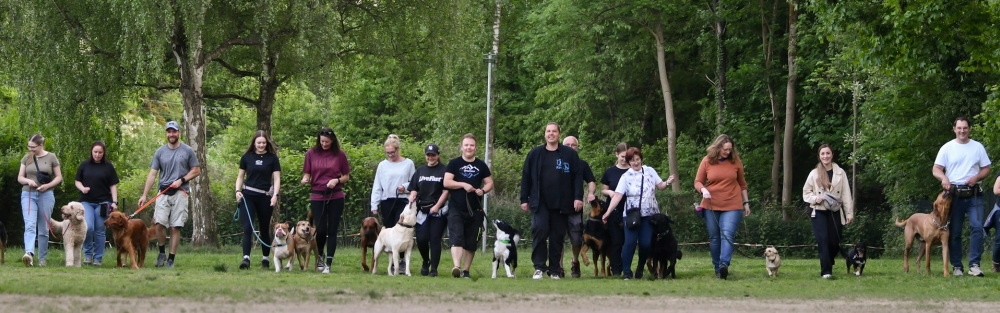 Hundeschule HVL – Hunde verstehen lernen